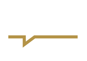 LOGO-AAES-Stacked-white-gold-tr-1