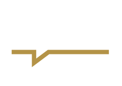 AAE Speakers Bureau